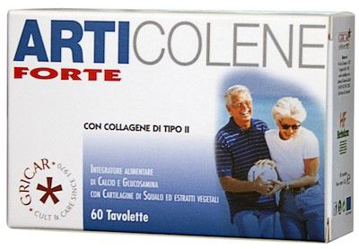 Tienda Herbofarm | Herbofarm Articolene Forte 60 comprimidos