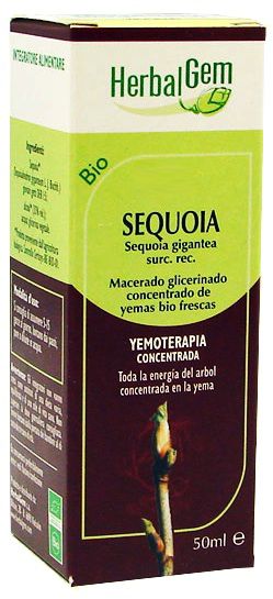herbalgem_sequoia_maceraqdo.jpg