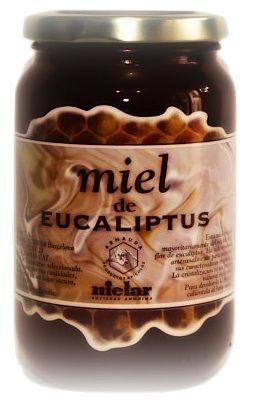 Tienda Arnauda | Arnauda Miel de Eucalipto 500g mielar_miel_eucalipto.jpg